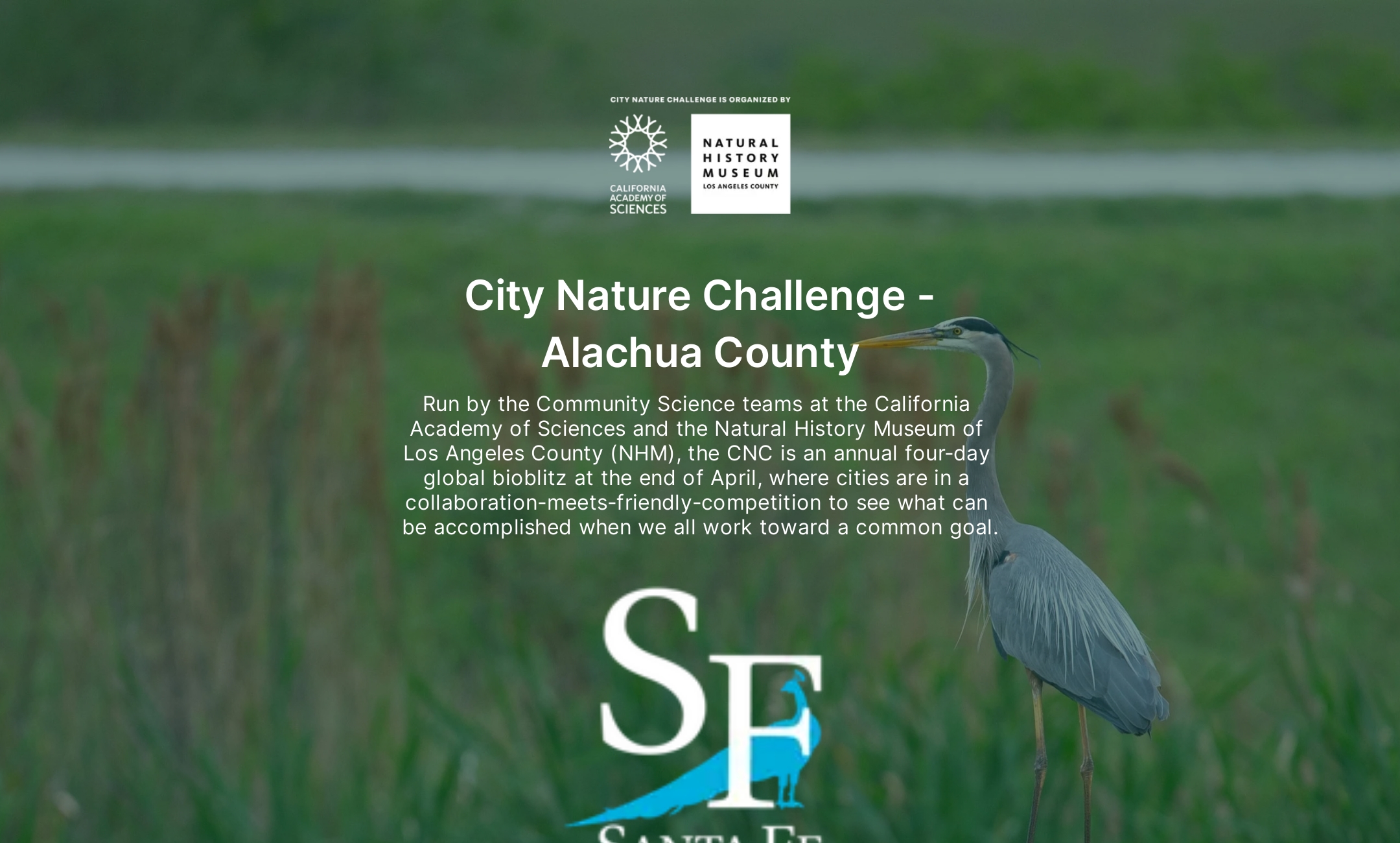 City Nature Challenge - Alachua County's Flowpage