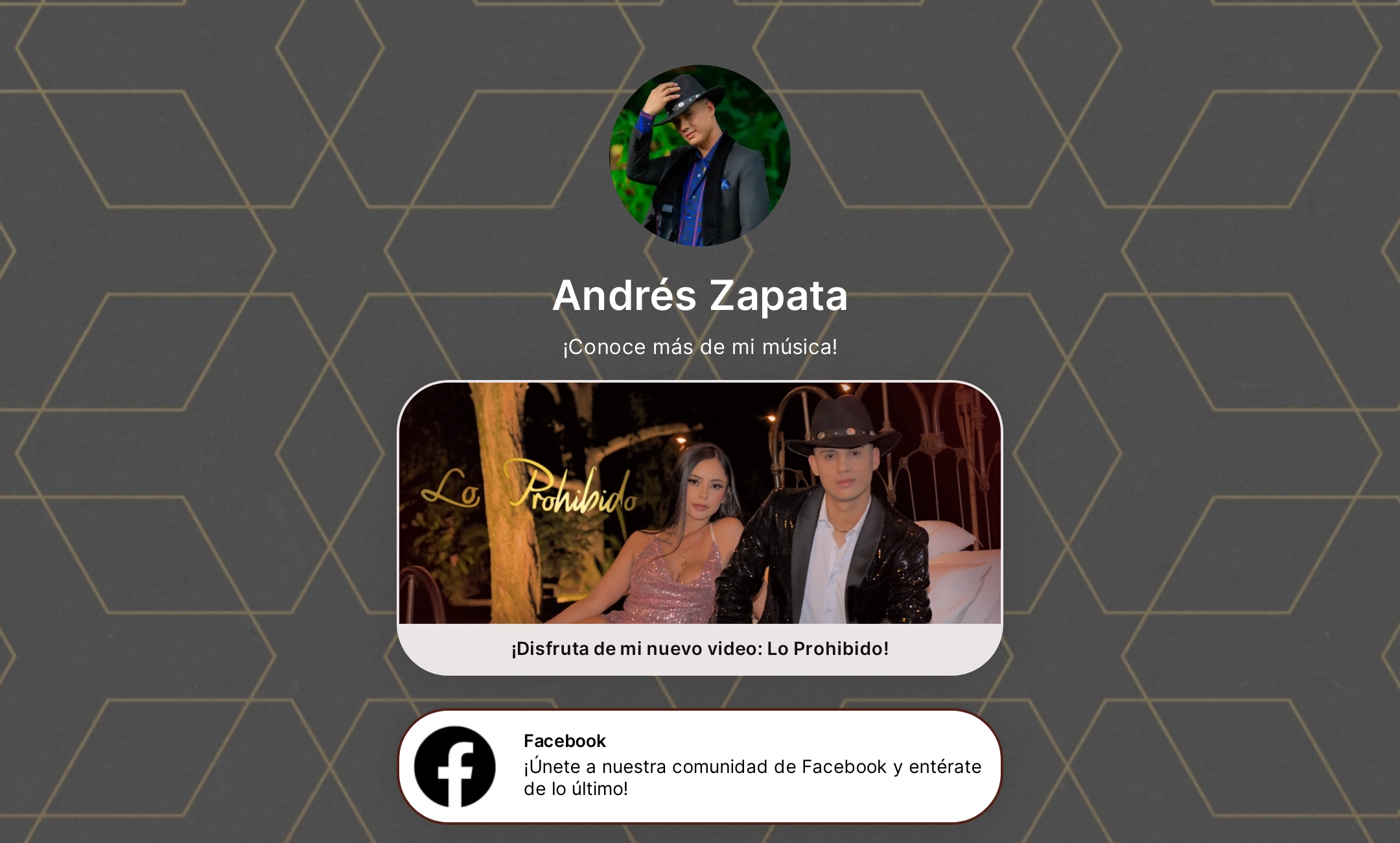 Andrés Zapata's Flowpage