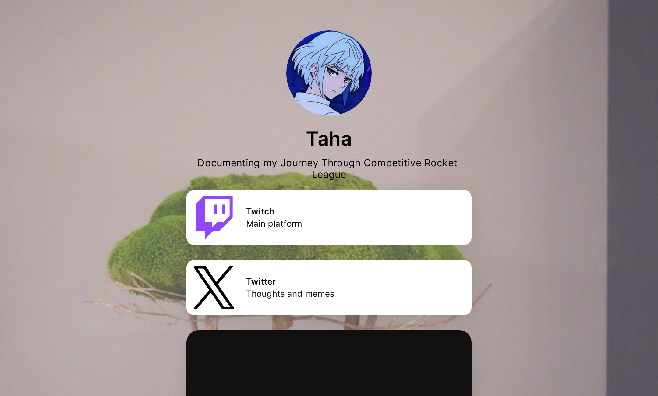 Taha's Flowpage